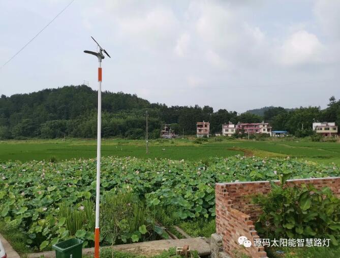 發生在村里的真實對話……看完之后尤生敬意。